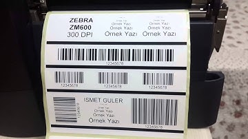 ZEBRA ZM600 TEST
