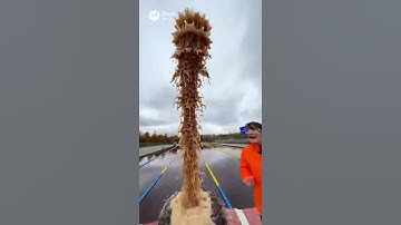 25メートルプールでメントスコーラやってみた。sora2【No00467】#メントスコーラ