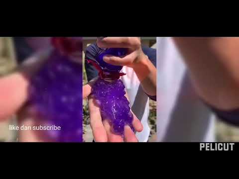 video tik tok kucing masak dll