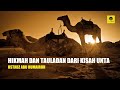 HIKMAH DAN TAULADAN DARI KISAH UNTA, DAN KEAJAIBAN UNTA - USTADZ ABU HUMAIROH