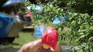 Dont Boat Under The Influence, Youre Not A Fish