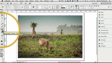 How to Create Multiple Frames with One Image in Adobe InDesign