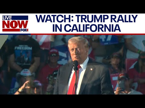 WATCH LIVE: Hurricane Milton recovery efforts in Florida & more top stories  | LiveNOW from FOX