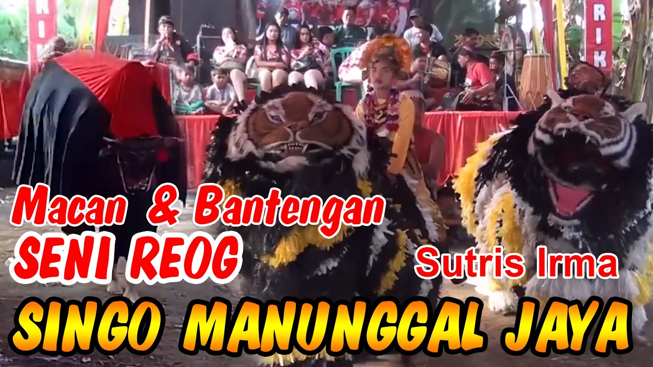 Anggit Awan Reog Singo Manunggal Jaya 05 Macan Bantengan