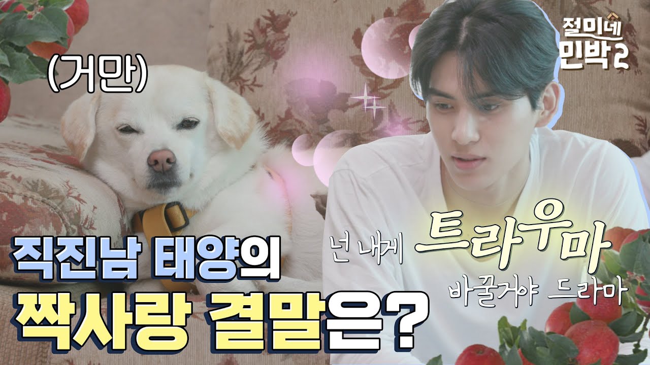 S2 Ep7. 햇살 유태양의 짝사랑법🥰 본격 강아지 육아예능