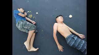 Celebrity EGG Prank on Joey it backfired!!! Profile