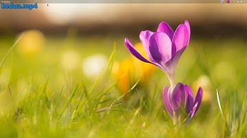 Cara install Mikrotik CHR di GNS3 Pada Ubuntu dengan Mudah!!!