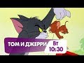 "Том и Джерри" завтра в 10:30 на НТК!