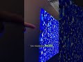 Samsung Micro LED: TV sin Bordes Presentada en CES 2026