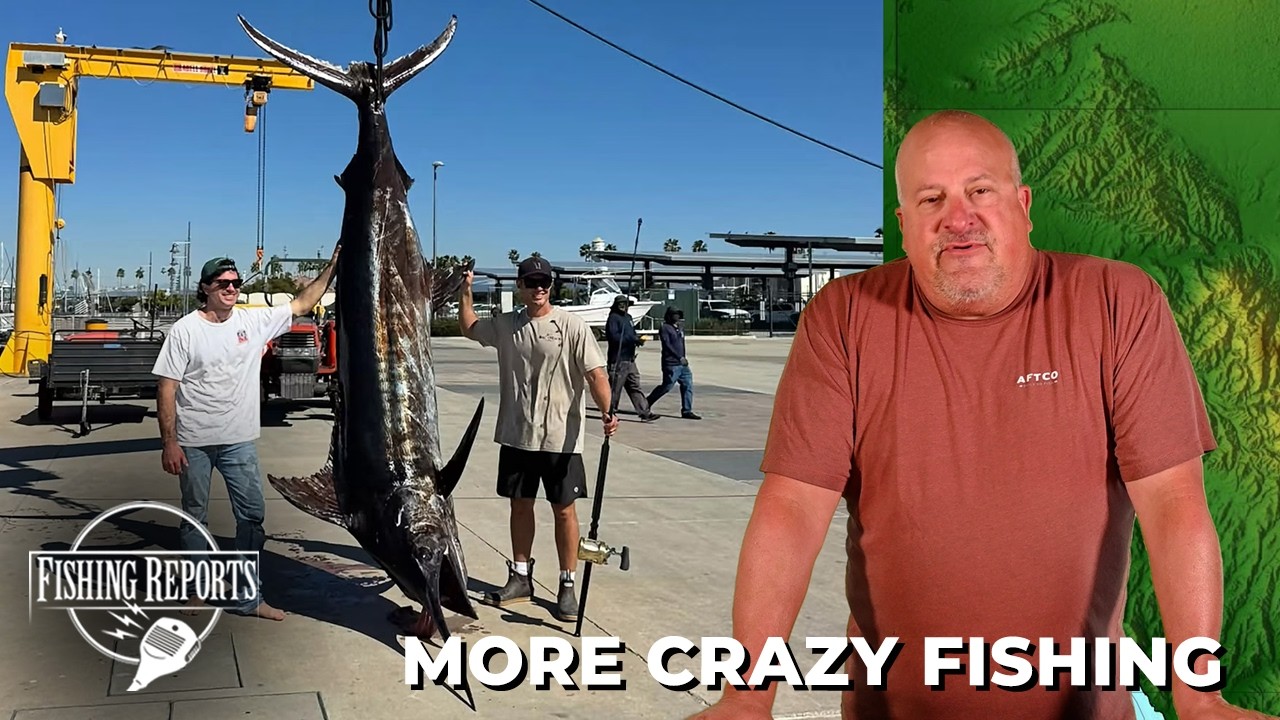 Southern California Bight FISHING REPORT 10/30/2026