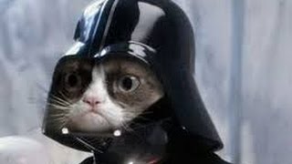 Funny animals 2016! Приколы с животными! Ржака! Funny animals 2016! Приколы с животными! Ржака!