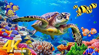 Ocean 4K - Beautiful Coral Reef Fish in Aquarium - Gentle Music, Stop Overthinking, Heal The Mind