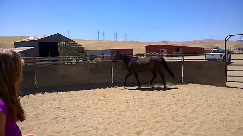 Sybil Ann working