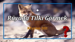 RÜYADA TİLKİ GÖRMEK (rüya tabiri)