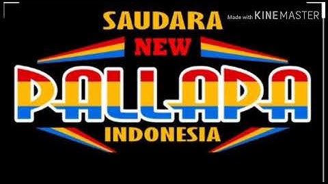 New pallapa senyum membawa luka (anggur merah)