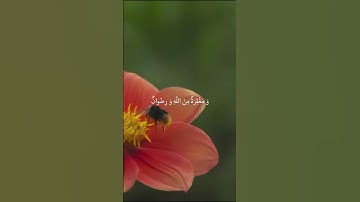 {وَمَا الْحَيَاةُ الدُّنْيَا إِلَّا مَتَاعُ الْغُرُورِ} القارئ رعد الكردي #سورة_الحديد #راحة_نفسية