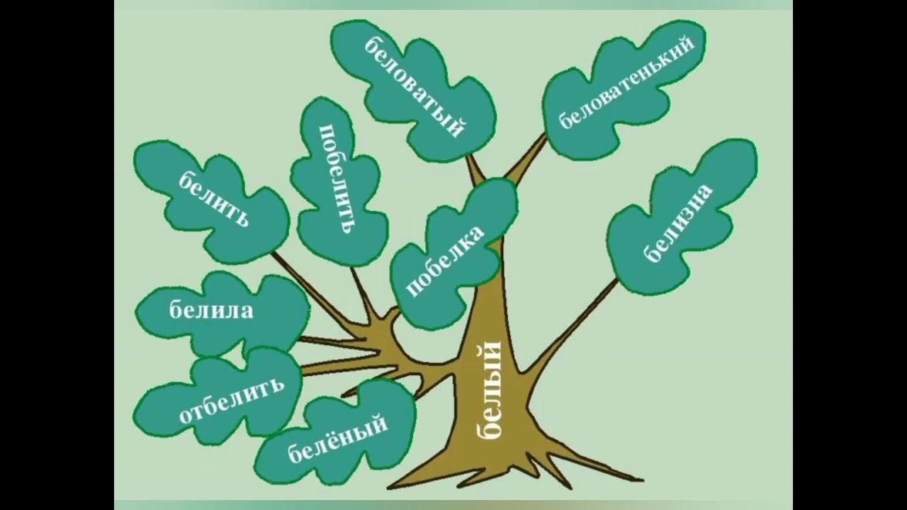 1 группа однокоренных слов. Словообразовательное дерево. Дерево с однокоренными словами. Словообразовательное гнездо. Дерево класса.