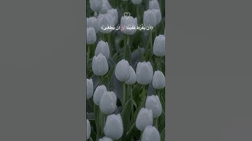 اجـر لي ولكم ♥️#سورة_طه #شريف_مصطفى #مالي_خلق_احط_هاشتاقات#كلير_تحبكم