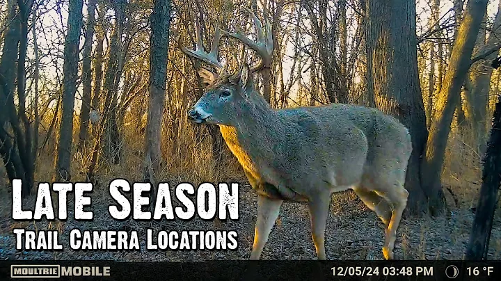 Where to find Post Rut Bucks