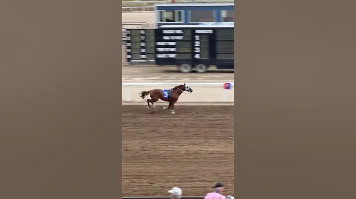 Jockey Falls of Horse Racing Accidents Sweetwater Downs Wyoming #wyoming Horses Race Gambling 🐴