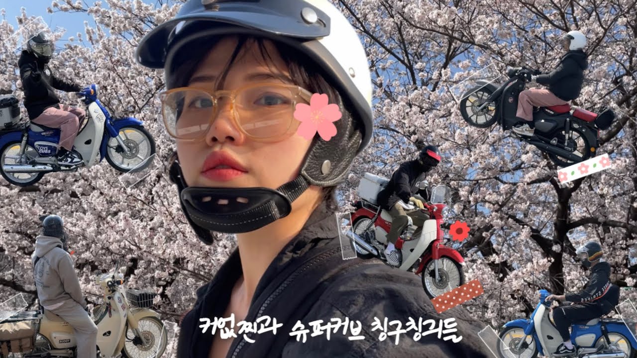 슈퍼커브 벚꽃라이딩 🌸
