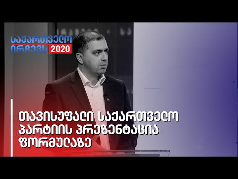 თავისუფალი საქართველო - პარტიის პრეზენტაცია, ფორმულაზე
