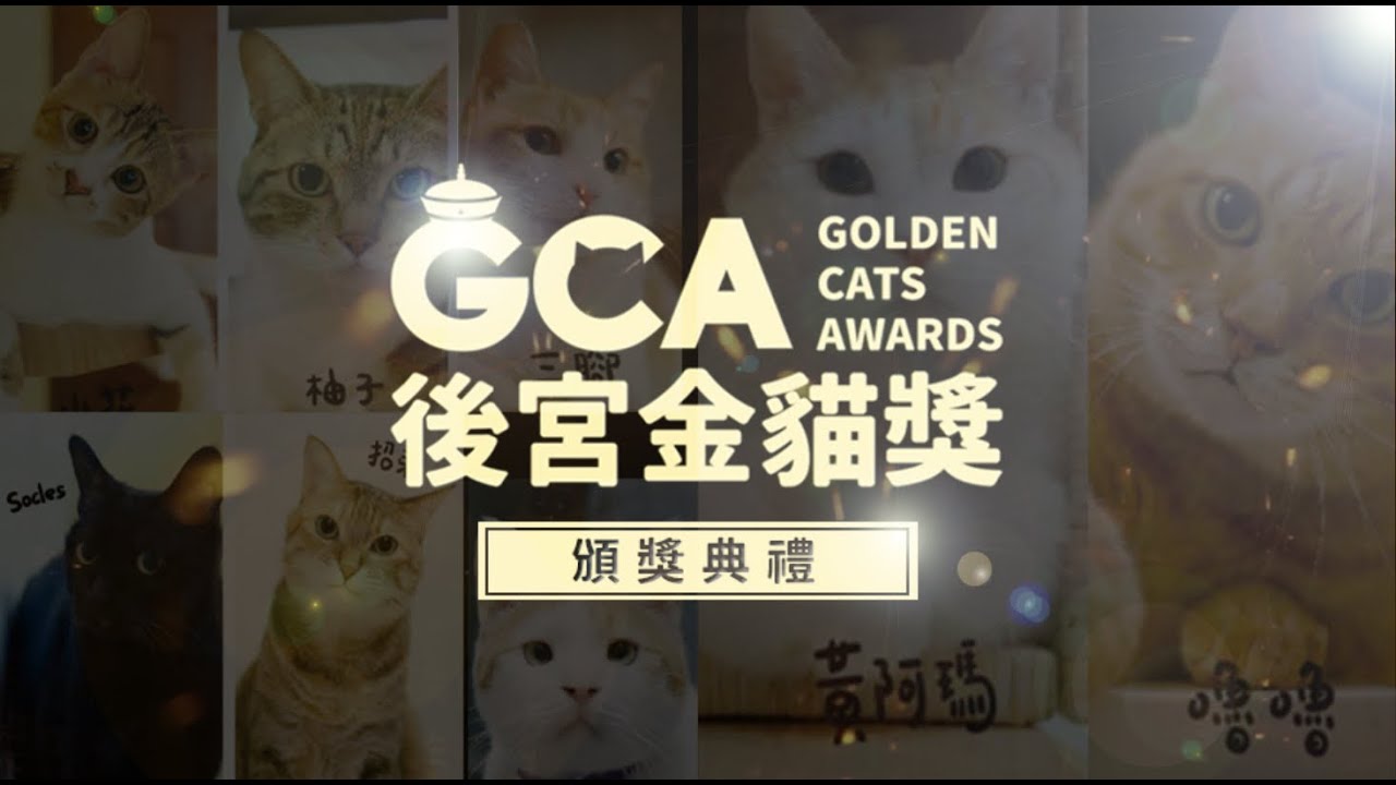 【黃阿瑪的後宮生活】GCA後宮金貓獎頒獎典禮