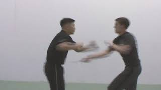 Systema - Fast Attack - Kwan Lee