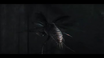 How to properly use Stalker Beetle in combat - Hunt Showdown