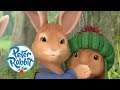 Peter Rabbit - Benjamin the Genius | Cartoons for Kids