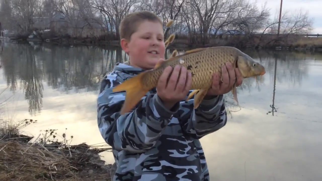 DIY Carp Fishing (Kid Catches 10 Pound Carp!) 