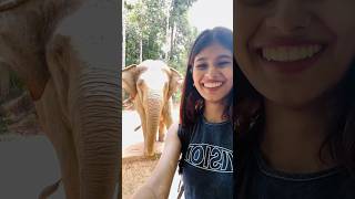 Phu Quoc Safari🐘🤩 | Solo Trip✈️ |  #Ad #Himalaya