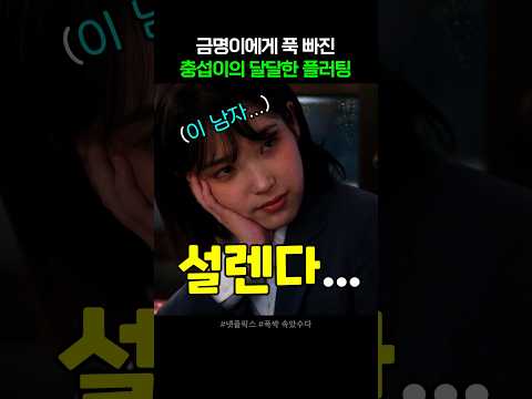금명이를 다시 만나 행복한 충섭이 #폭싹속았수다 thumbnail
