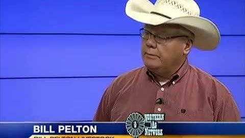 BQA Certification Workshop