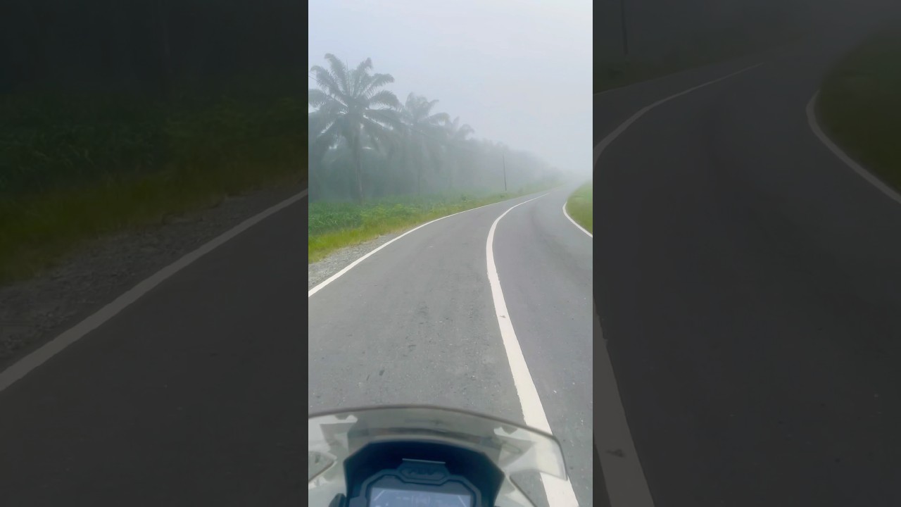 Diselimuti Kabut #shorts #nature #wonderful #travel #wonderfulindonesia #vlog #youtubeshorts #viral