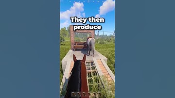 Everyone COMPLETELY Forgot About This Rust Item! 🤫🚫