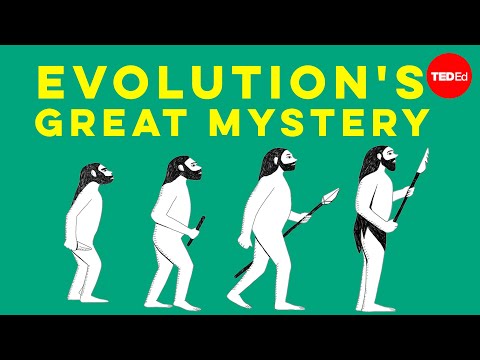 Evolution’s great mystery - Michael Corballis