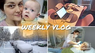 VLOG: последние недели перед переездом, собираю вещи, последняя елка, документы для собаки