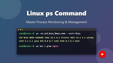 Linux Process Management: Mastering the 