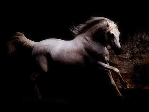 هدى عمار يا روايح الزمن الجميل 480