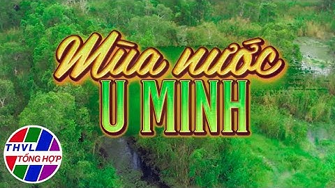 Nhịp sống đồng bằng: Mùa nước U Minh