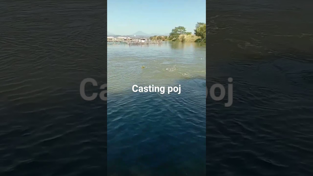 casting poj