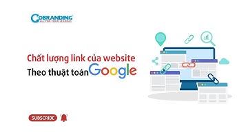 Chất lượng link của website theo thuật toán Google | GOBRANDING Official