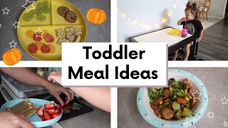 Fall Toddler Meal Ideas & Recipes | Meal ideas for 2 year olds |  @Mama Tried ​