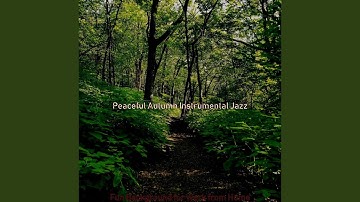 Sparkling Moods for Working at Home