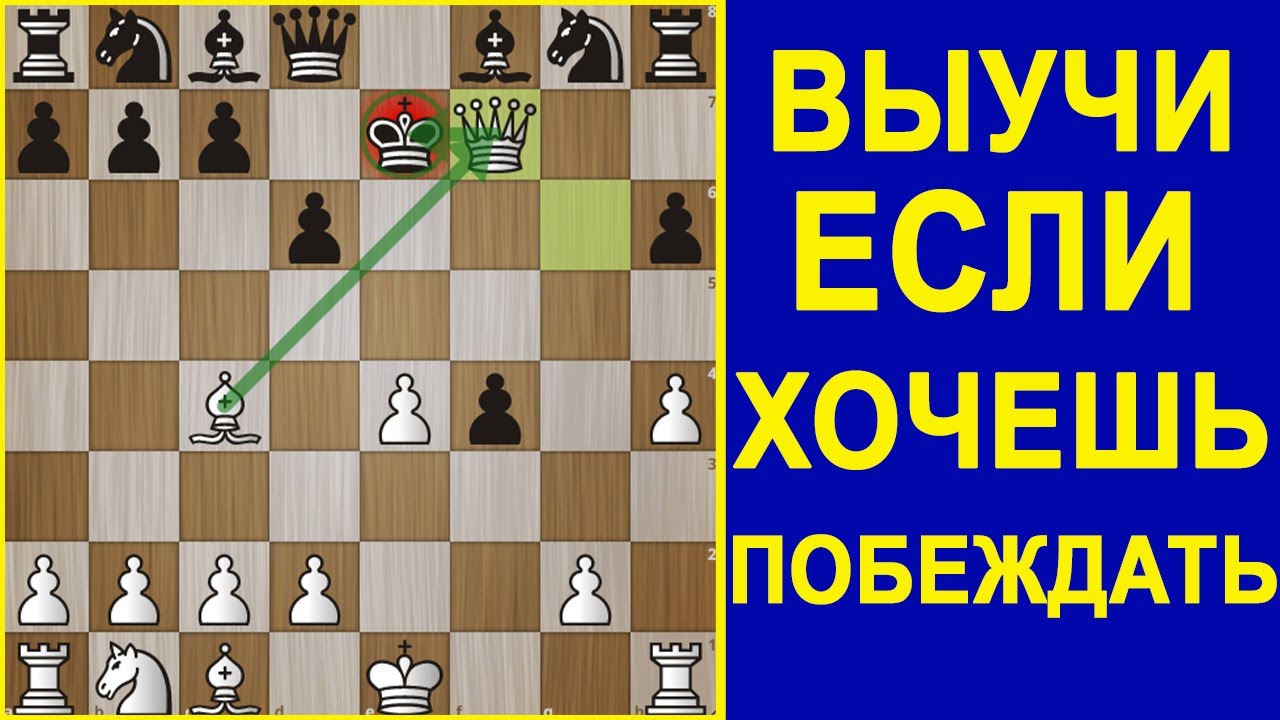 Научить играть в шахматы с нуля. Научить играть в шахматы с нуля