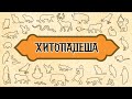 ХИТОПАДЕША / Сборник басен, притч, сказок и поучений древней индии. Веды. Панчатантра.