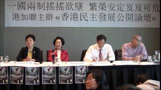20140406 民主發展論壇 6