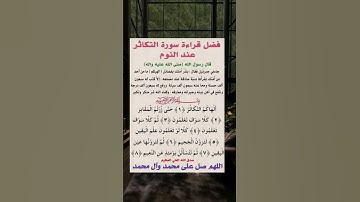 فضل قراءة سورة التكاثر عند النوم #اللهم_صل_على_محمد_وال_محمد