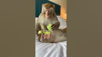 Mom wakes up instantly thanks to wasabi surprise shock #funny #viral #momlife